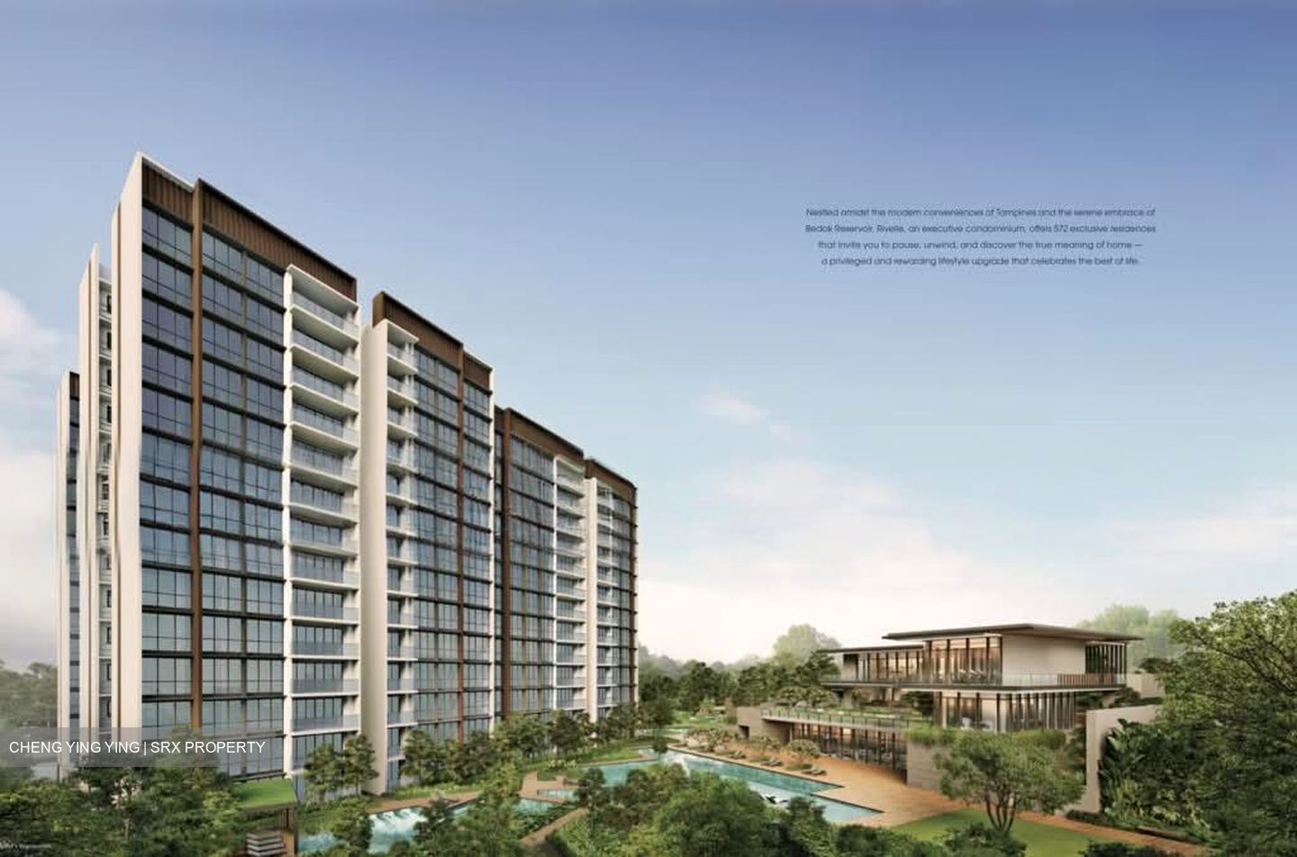 Tampines Road (D19), Condominium #595462471